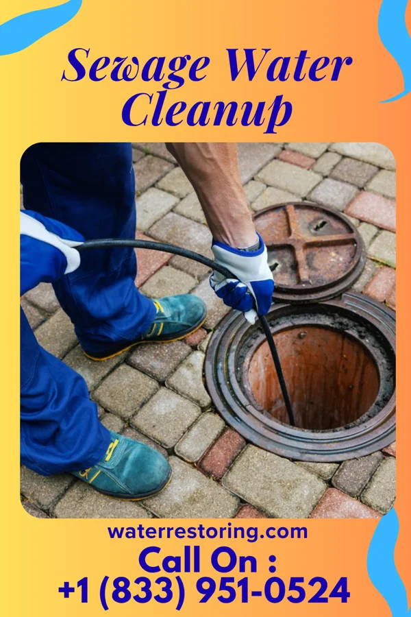Sewage Water Cleanup in Richfield, NE